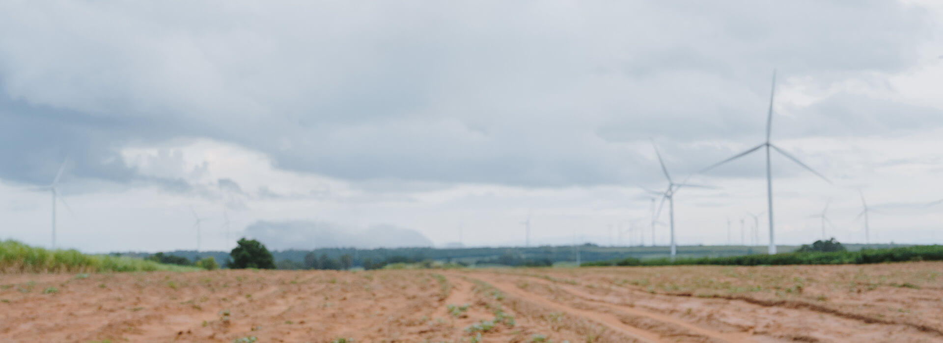 An out of focus image of a wind farm